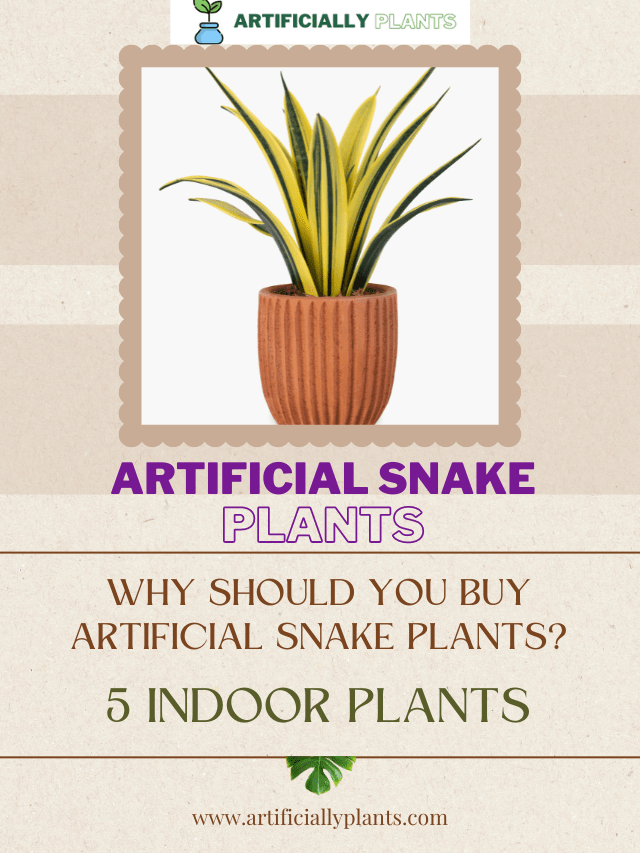 Why Should You Buy Artificial Snake Plants