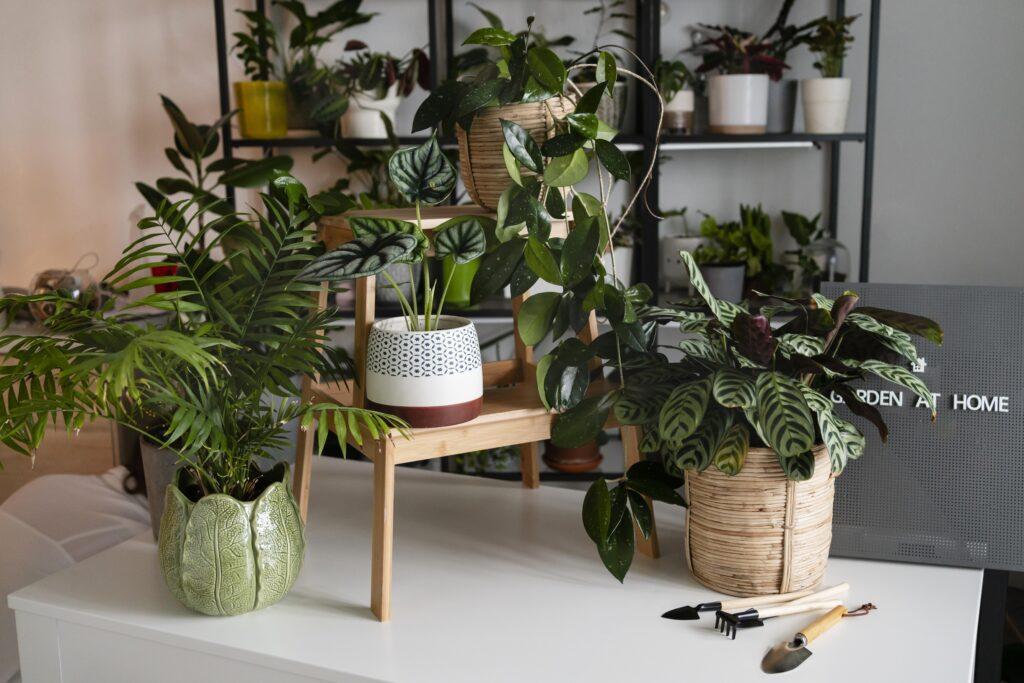 Beautiful Artificial Plants for Home Décor