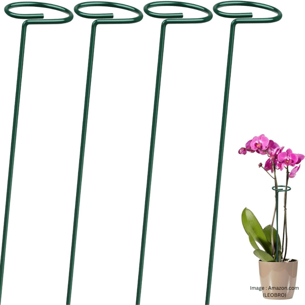 4 Pack Plant Support Stakes