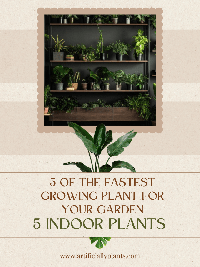 5 of the Fastest Growing Plant for Your Garden