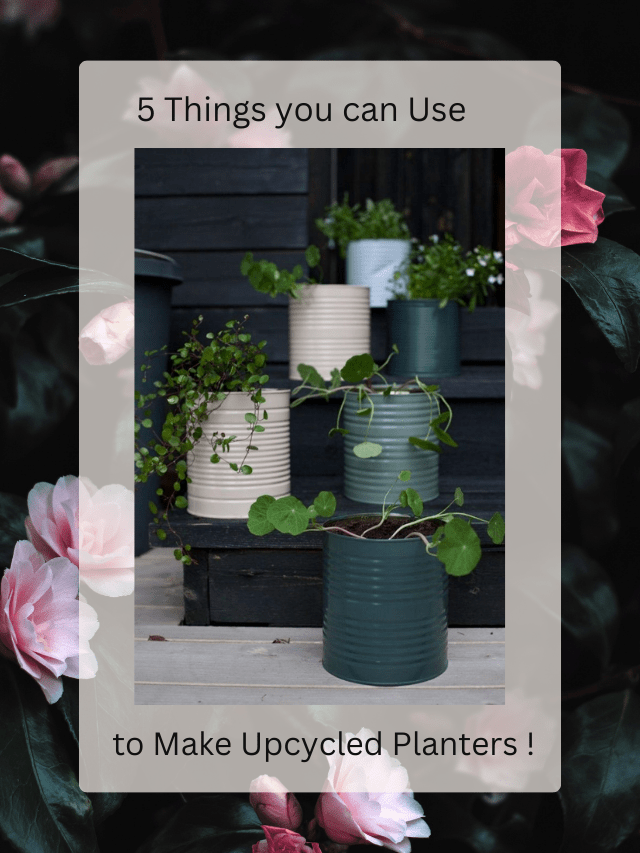 5 Things you can Use to Make Upcycled Planters !