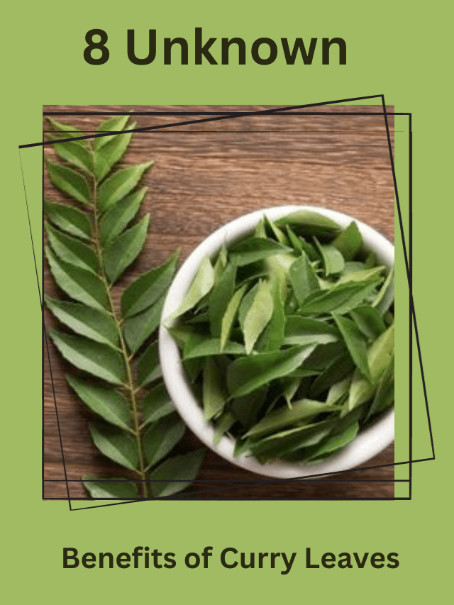 8 Unknown Benefits of Curry Leaves