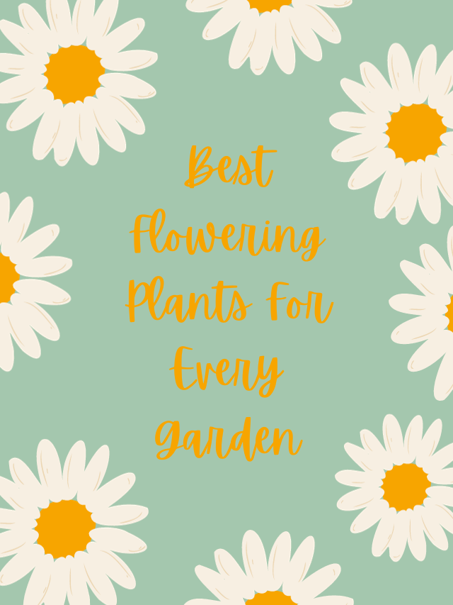 Best Flowering Plants For Every Garden