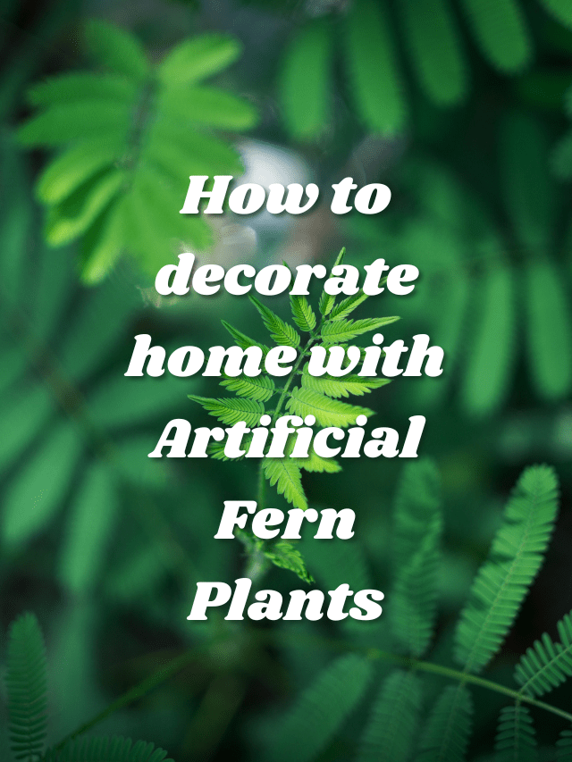 How to decorate home with Artificial Fern Plants