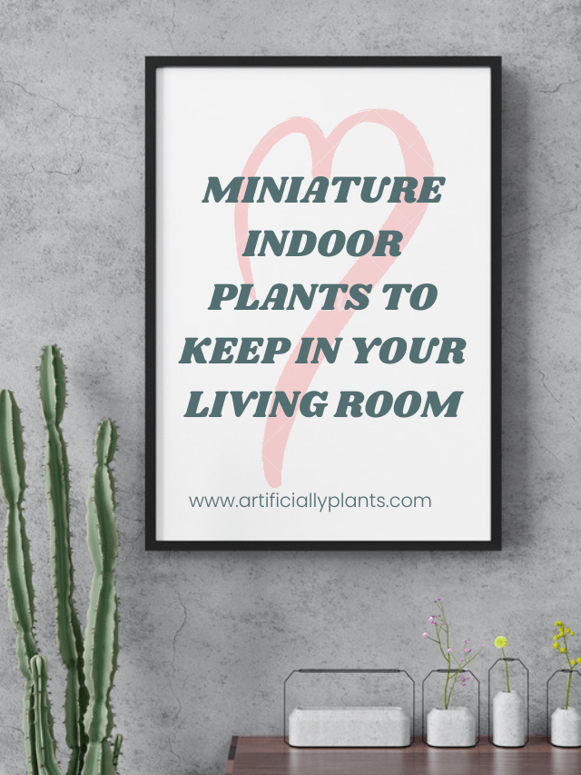 MINIATURE INDOOR PLANTS TO KEEP IN YOUR LIVING ROOM