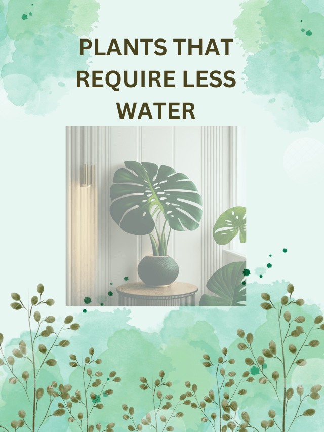 PLANTS THAT REQUIRE LESS WATER