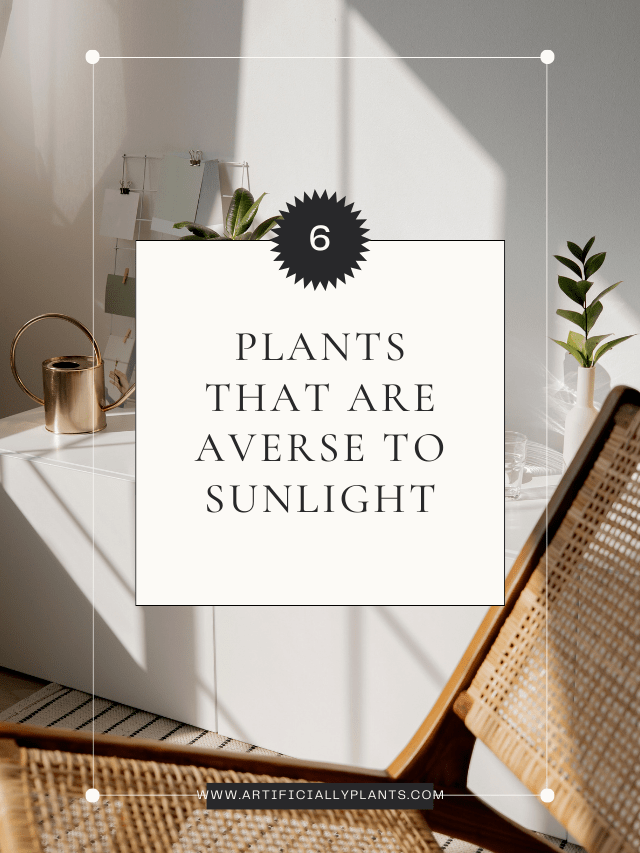 Plants that are Averse to Sunlight