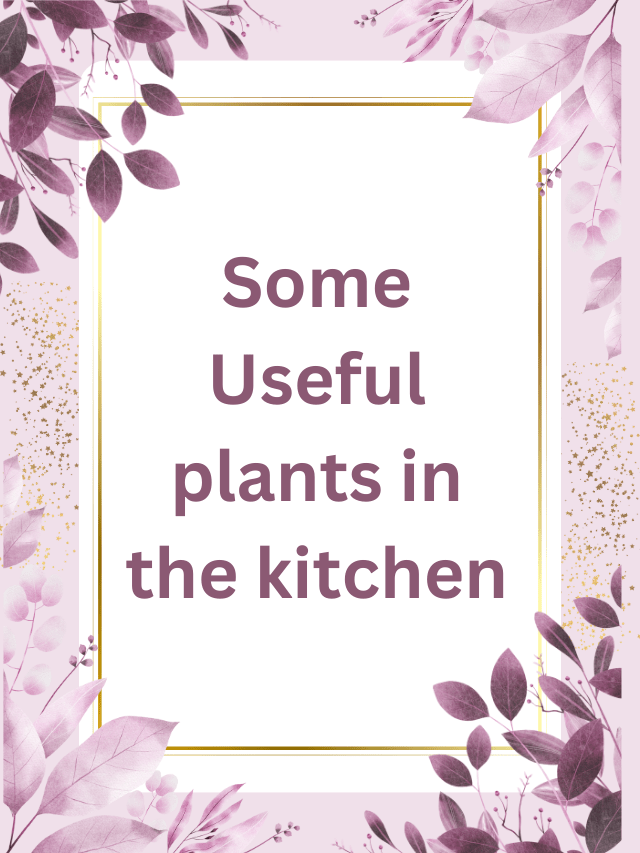 Some Useful plants in the kitchen