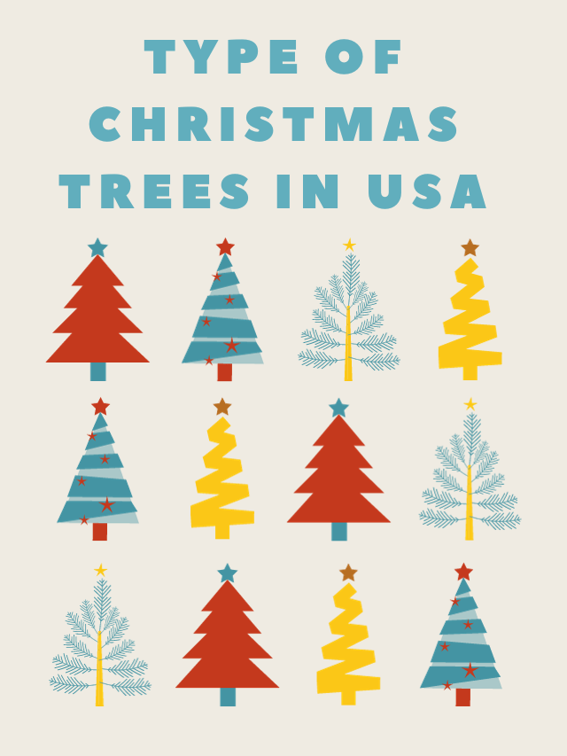 Type of Christmas trees in USA