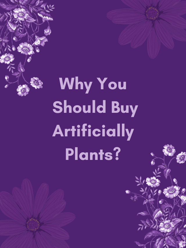 Why You Should Buy Artificially Plants