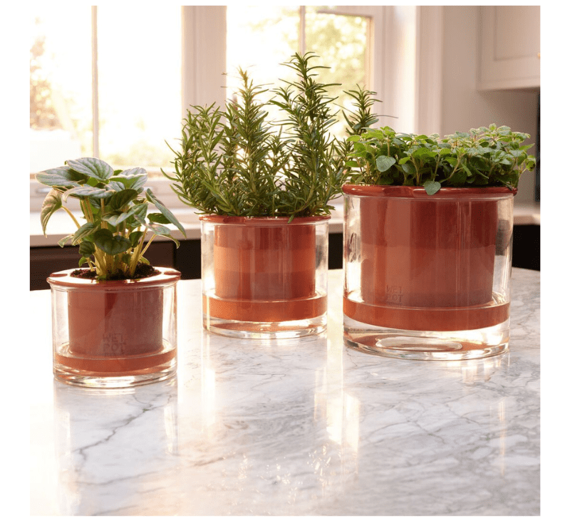 self watering plant pot