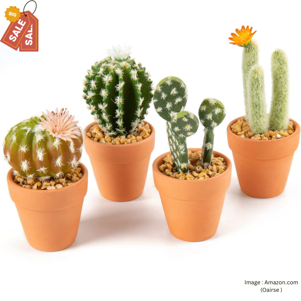 Mini Artificial Cactus Plants in Terracotta Pots 4 Pcs Potted Faux Succulents in Pots Fake Potted Plants