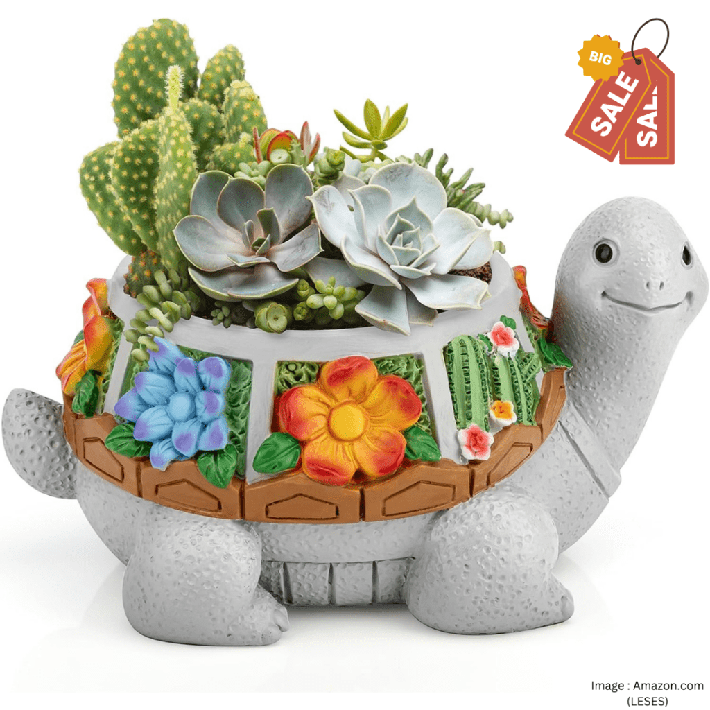 Cute Planting Pots for Cactus, Succulent Planters for Indoor Plants