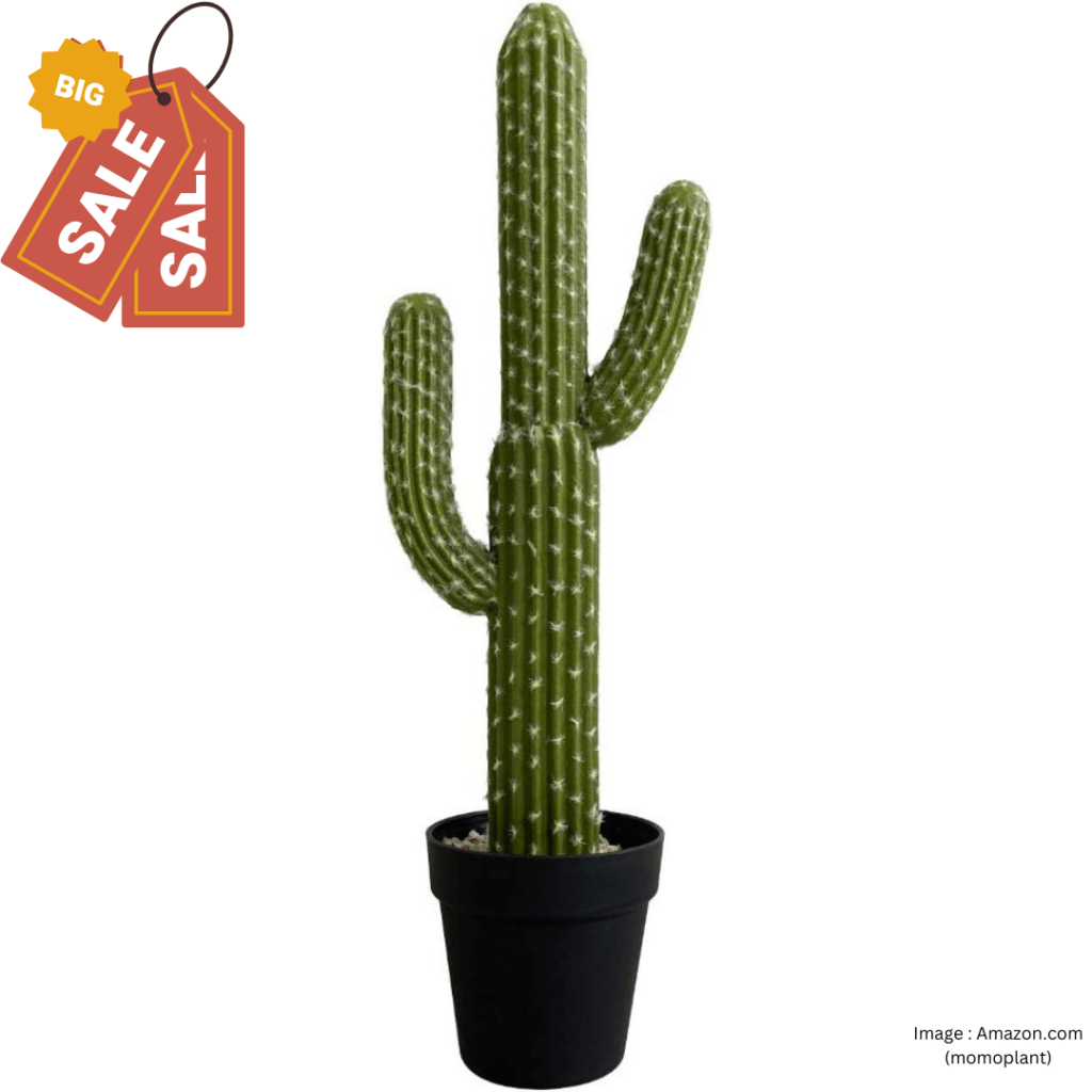 Artificial Cactus Succulent Plant, 24 Inch Faux Fake Desert Cacti Plant