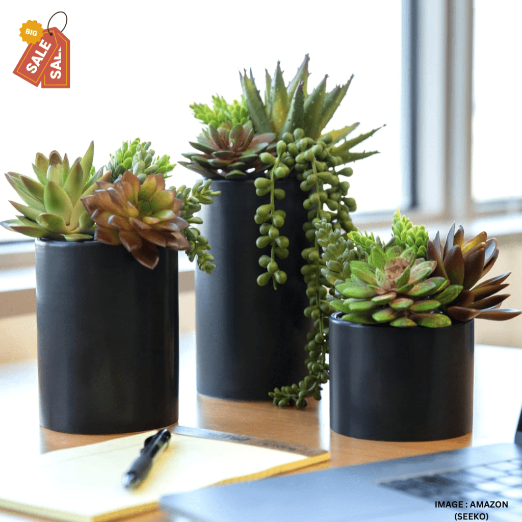 Artificial Succulents in Ceramic Pots - Set of 3 Realistic & Beautiful